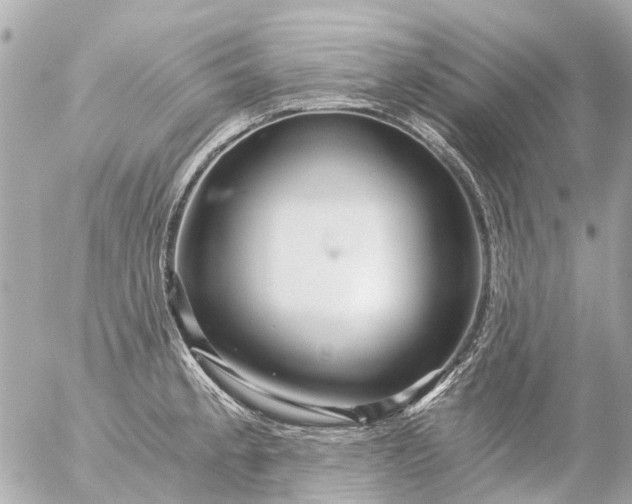 X0000056321189200509092255