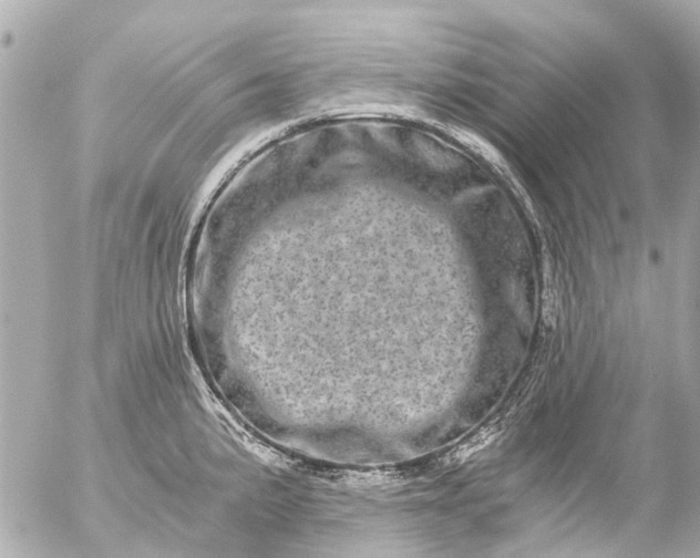 X0000056321191200509092255