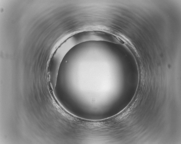 X0000056321192200509092255