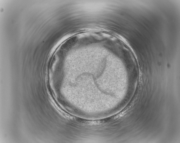 X0000056321195200509092255