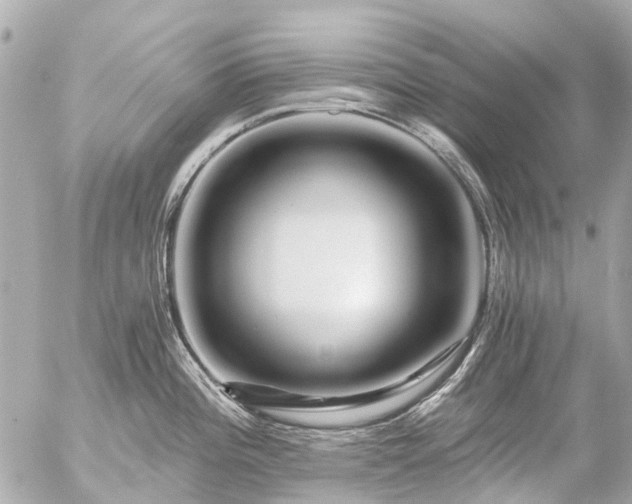 X0000056321196200509092254