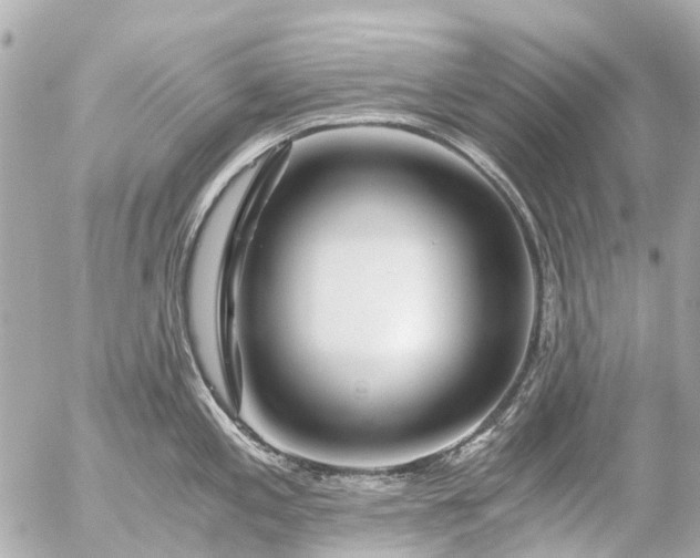 X0000056321197200509092254