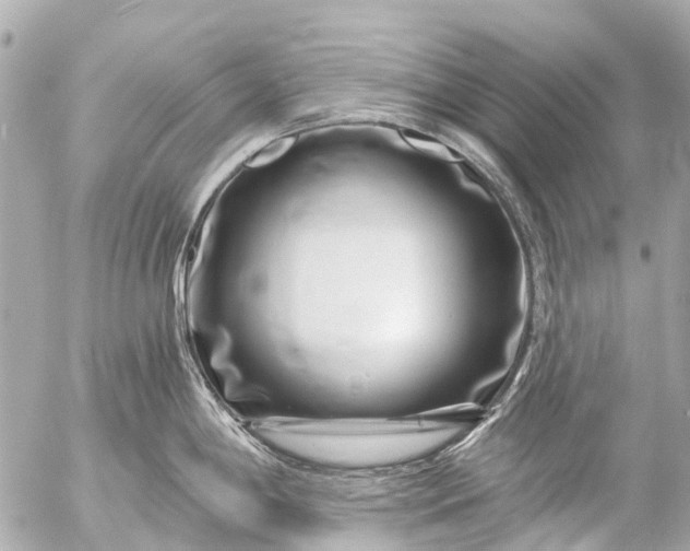 X0000056321198200509092254