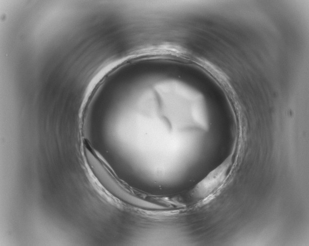 X0000056321200200509092254