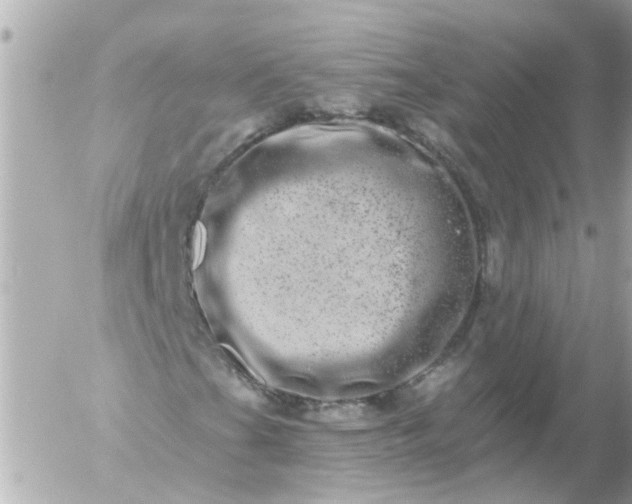 X0000056321201200509092254