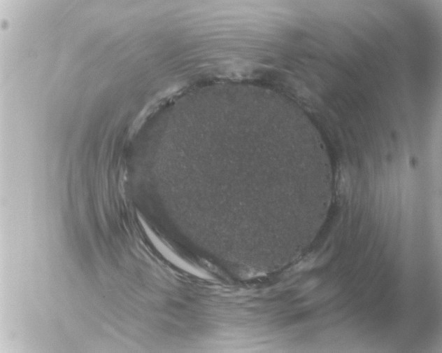 X0000056321202200509092254