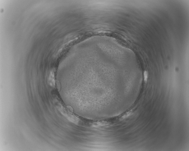 X0000056321203200509092254