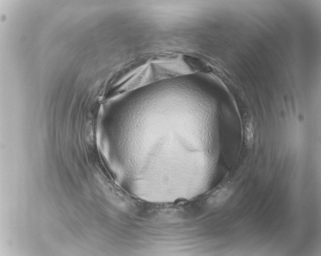 X0000056321204200509092254