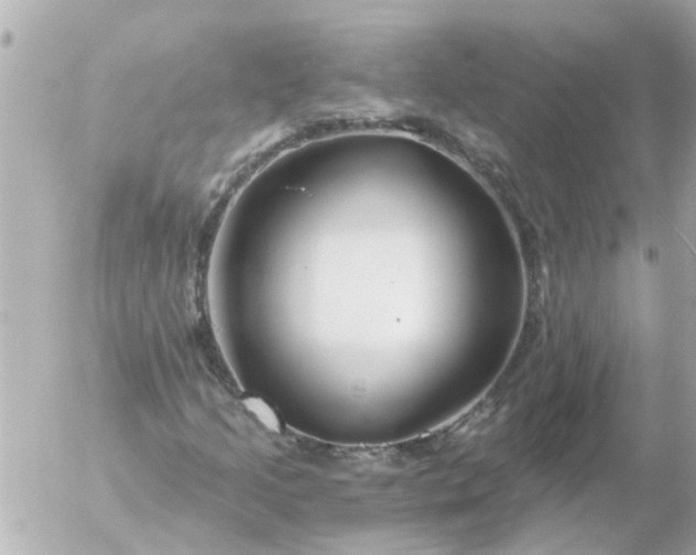 X0000056321205200509092254