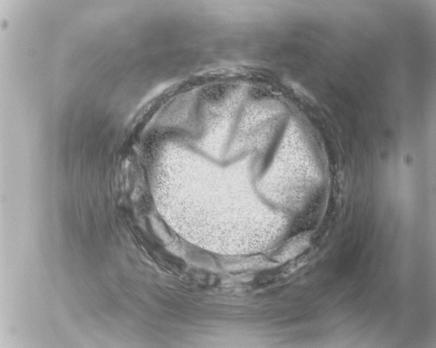 X0000056321206200509092254