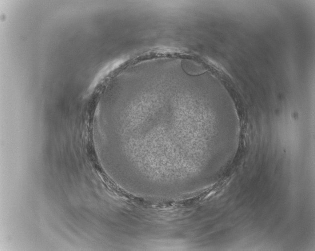 X0000056321207200509092254