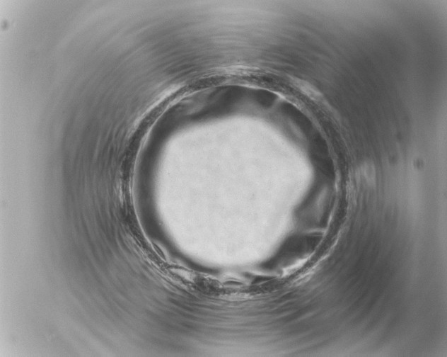 X0000056321209200509092254