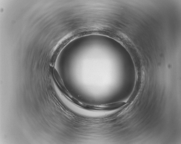 X0000056321210200509092254