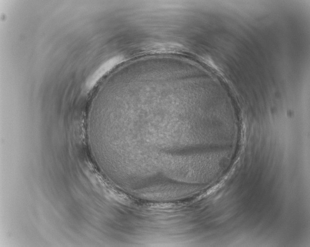 X0000056321211200509092254