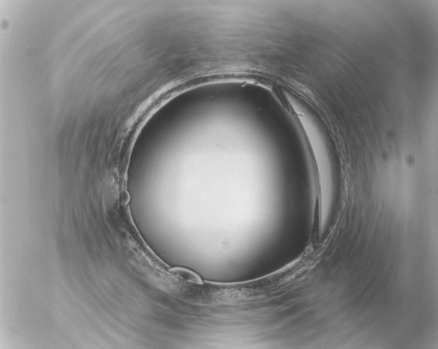 X0000056321212200509092254