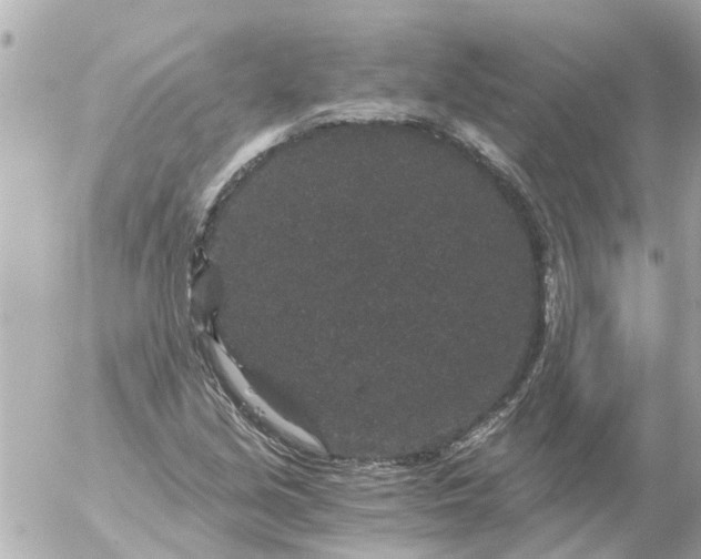 X0000056321213200509092254