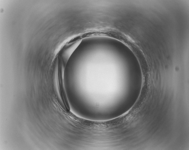 X0000056321214200509092254