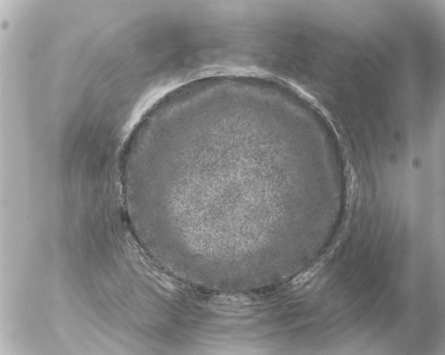 X0000056321215200509092254