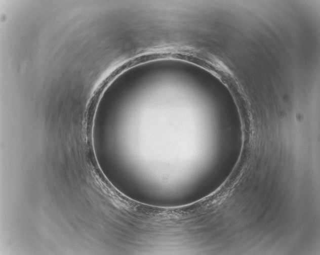 X0000056321216200509092254