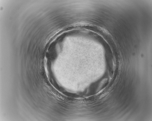 X0000056321217200509092254