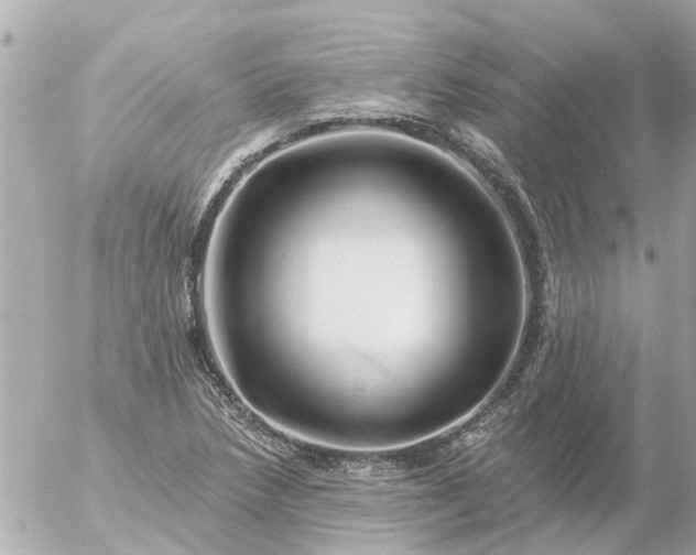 X0000056321218200509092254