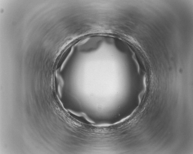 X0000056321220200509092254