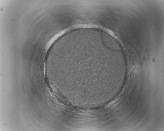 X0000056321221200509092254