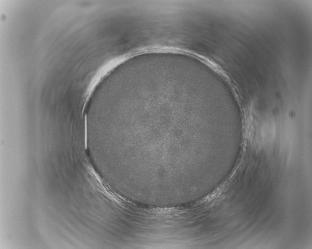 X0000056321223200509092254