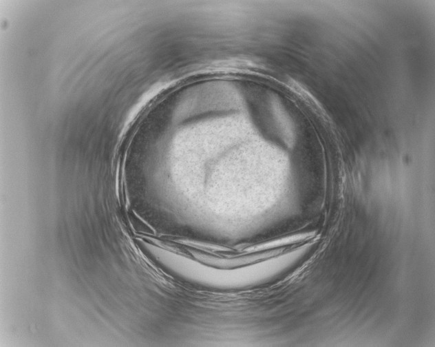 X0000056321224200509092254