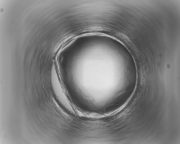 X0000056321225200509092254