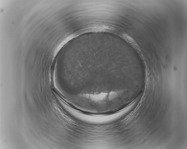 X0000056321226200509092254