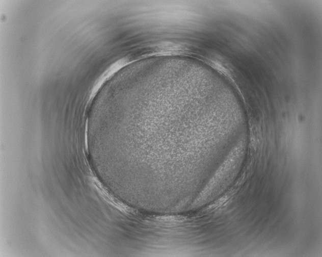 X0000056321227200509092254