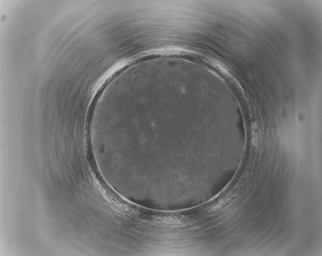 X0000056321229200509092254