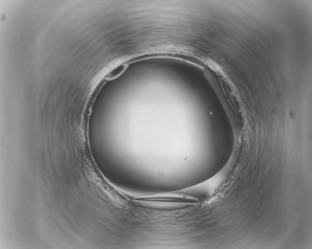 X0000056321230200509092254