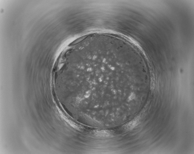 X0000056321231200509092254