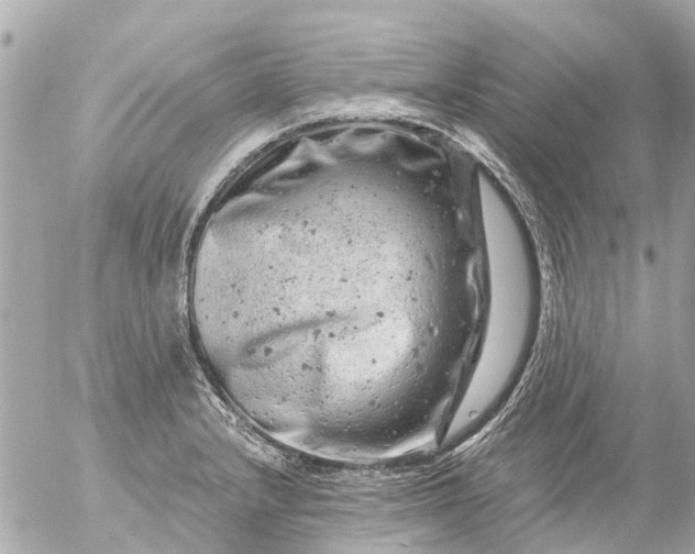 X0000056321232200509092254