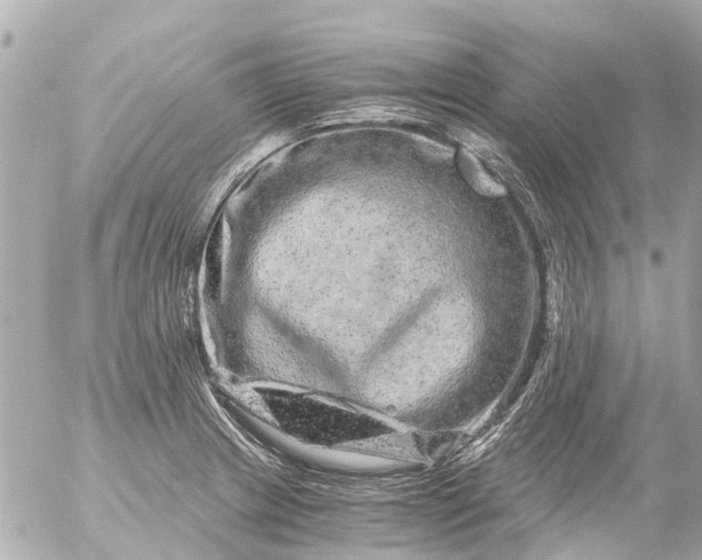 X0000056321233200509092254