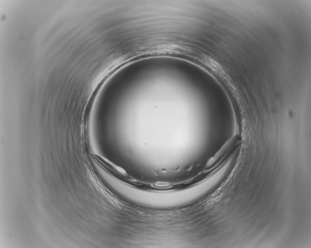 X0000056321234200509092254