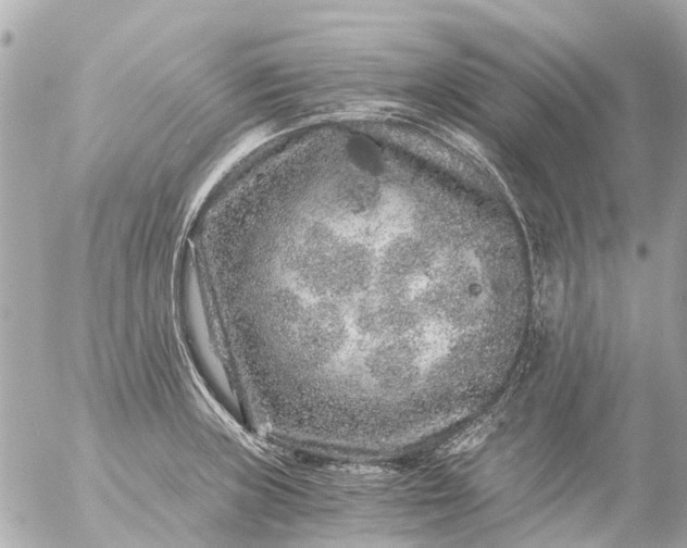 X0000056321235200509092254