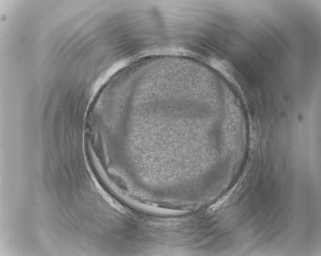 X0000056321237200509092254