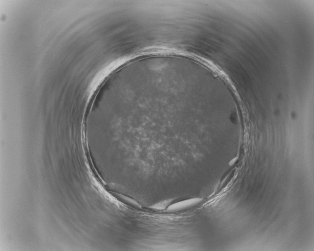 X0000056321239200509092254