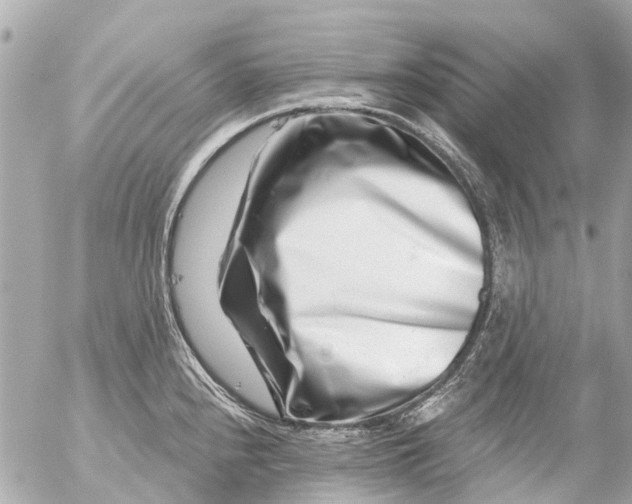 X0000056321240200509092254