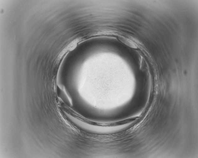 X0000056321241200509092254