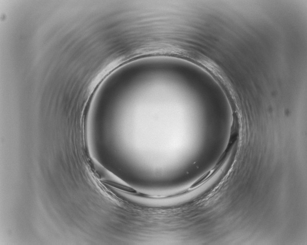 X0000056321242200509092254