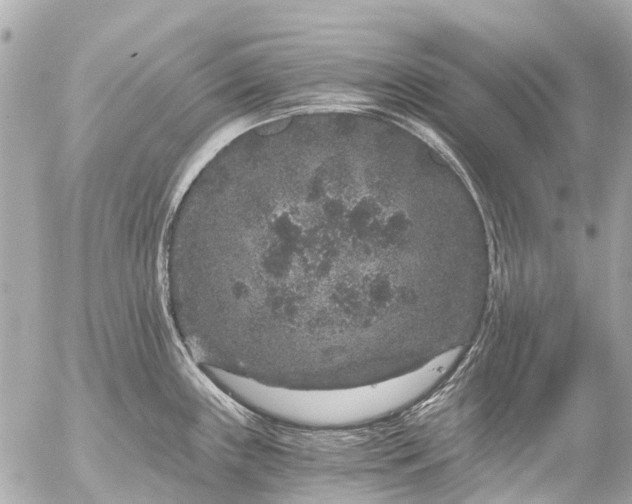 X0000056321243200509092254