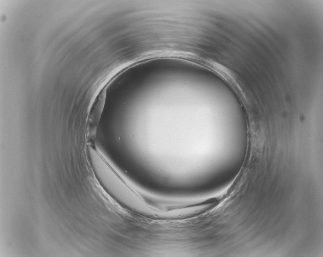 X0000056321244200509092254