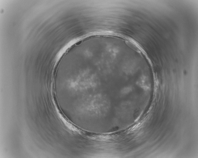 X0000056321245200509092254