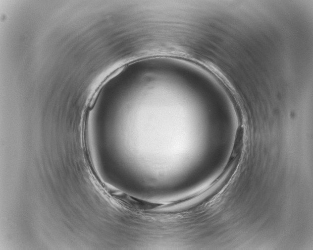 X0000056321246200509092254