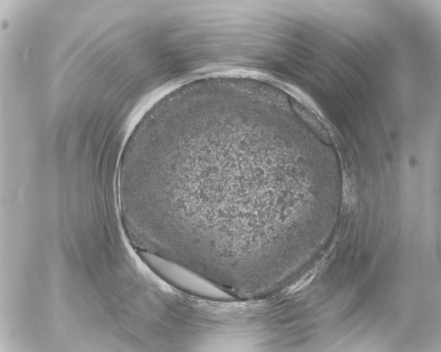 X0000056321247200509092254