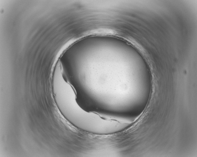 X0000056321248200509092254